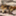 gasho35