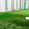 golfstudio_zero