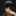 hakudaku01