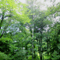 hakushu_life