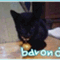 haru_baron