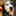 haydn880
