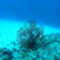 heart_place_1262525