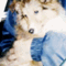 ɱ�Ѥ�