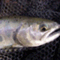 hirocchi1202