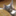 hirose31