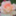 honoka5497