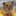 icecold0416