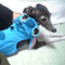 Nile(�ʥ���)