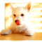 infotop_blog