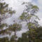 inoblog1