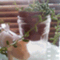 iriscafe