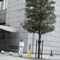 k_jindai����