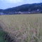 kabubinkun