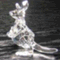 kangaroo_sho1