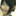 kanon0328