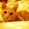 keita_7676
