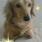 kirakira40ans