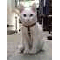 kito_kou