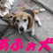kitune719