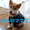 komachinonikukyuu