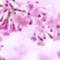 konokodokonoko_