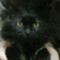 kotaroblack
