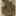 kouhi_39