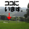 kubotaen