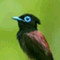 kuretoribito