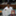 kyokushinmie_ken0326