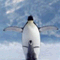 land_puu_ms_livedoor