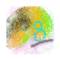 lindon8