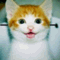 link_door_speshaelさん