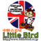 ������岰LITTLE BIRD