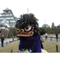 livepasokichi