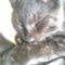 �뤫����
