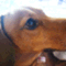 love2choko