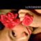 loversdesign