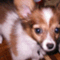 lucia_0226