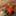 m8221550918