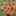 mamifc1025