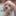 maron_kun