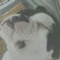 maru0226