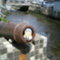 maruodesu