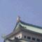 mastl006