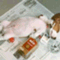 matage_masaki