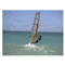 mauiwind