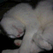 mee0312