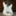 mellencamp_guitar